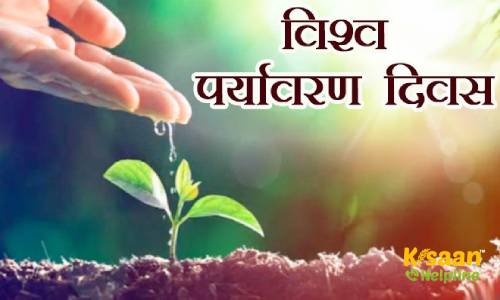 विश्व पर्यावरण दिवस 2021: पर्यावरण और मानव का सम्बन्ध